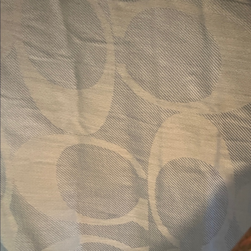 Coach Light Blue Fringe Shawl - Picture 3 of 10